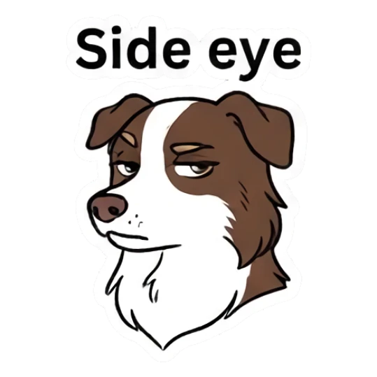 Skeptical Border Collie giving a side eye with text Side eye Loki.. LOWKEY Aussie! sticker for expressive chats and social replies.