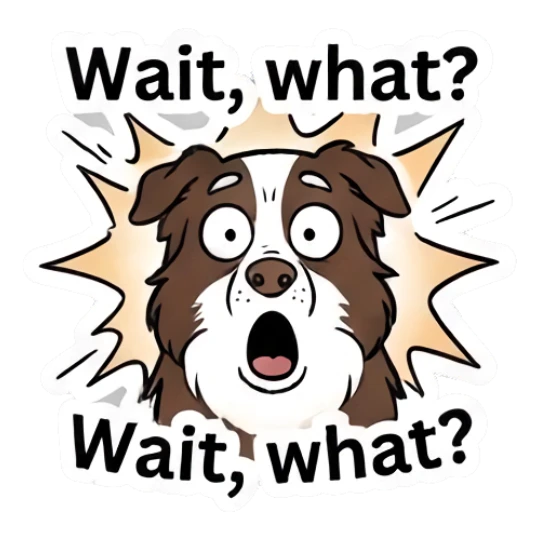 Shocked Border Collie with wide eyes and text Wait what Loki.. LOWKEY Aussie! sticker for expressive chats and social replies.