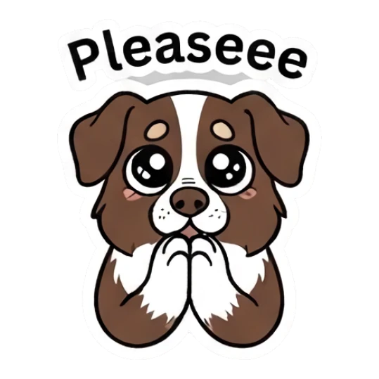 Pleading Border Collie with puppy eyes and text Pleaseee Loki.. LOWKEY Aussie! sticker for expressive chats and social replies.