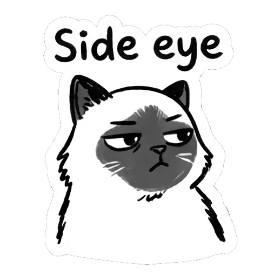 Skeptical Ragdoll cat giving a side eye, text 'Side eye' Ragdoll Cat Moods sticker for expressive chats and social replies.